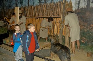 DSC_0306 (1600x1064)